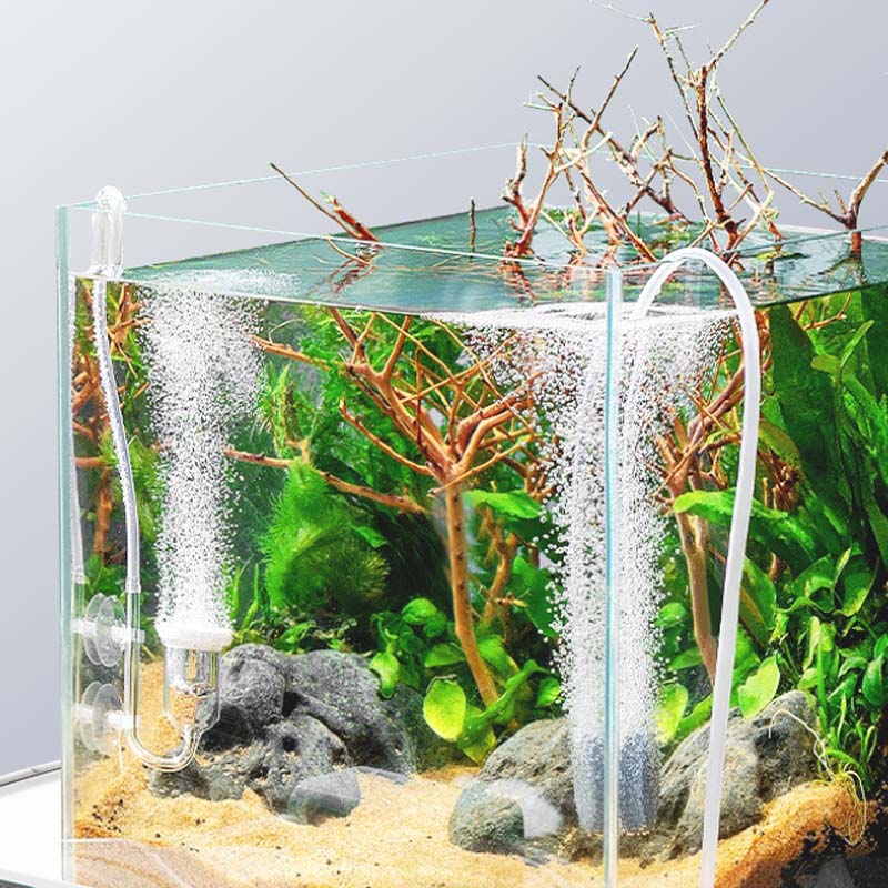 Pompe à Oxygène Compacte et Portable