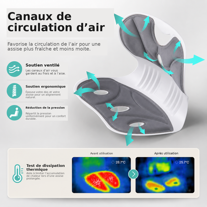 Ergonomic Lumbar Support Cushion for Office Chairs