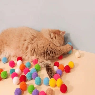 🐱 Passez plus de temps avec vos animaux : Pistolet lance‑balles en peluche 🎯