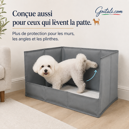 🐾 Toilette pour chiens avec 3 parois anti‑éclaboussures ✨ Protège le sol et les murs, pliable et gain de place