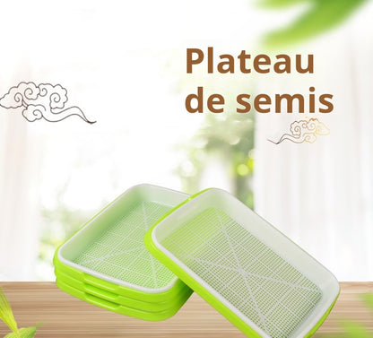 Plateau de Germination Double à Alvéoles Denses pour Micro-pousses