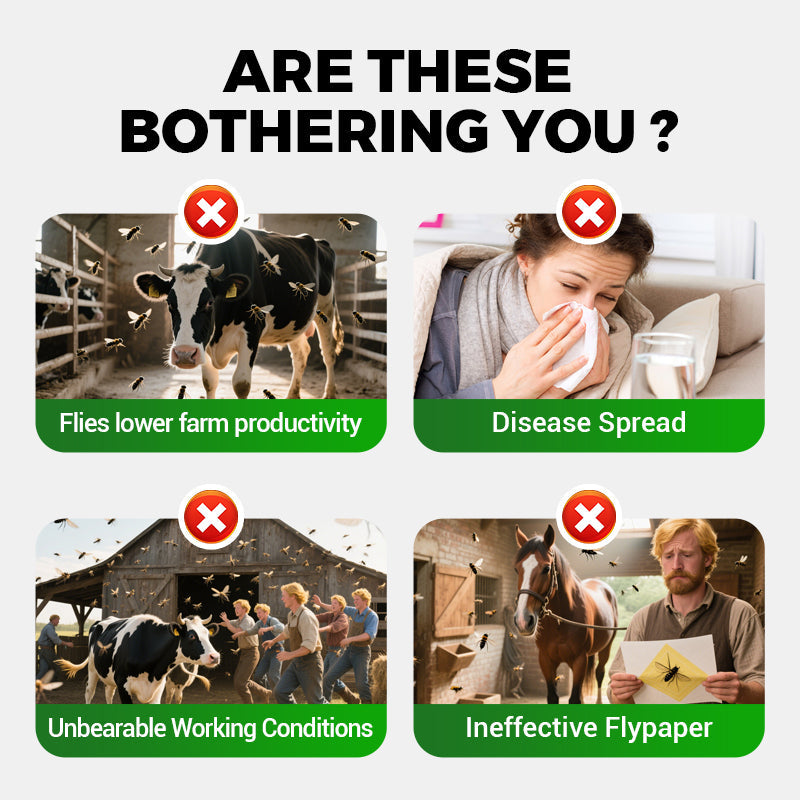 Agent Universel de Lutte contre les Mouches - Haute Efficacité & Sécurité