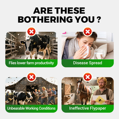 Agent Universel de Lutte contre les Mouches - Haute Efficacité & Sécurité