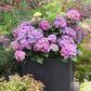 ✨Dernier jour 49% de réduction - Fleurs artificielles d'hortensia pour l'extérieur💐