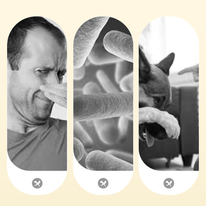 120 ml Spray déodorant puissant pour animaux domestiques🐾