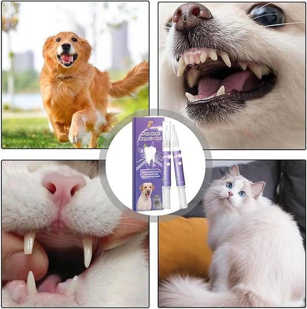 Achetez 1 et obtenez 1 gratuit🌈Gel Réparateur Oral pour Animaux de Compagnie
