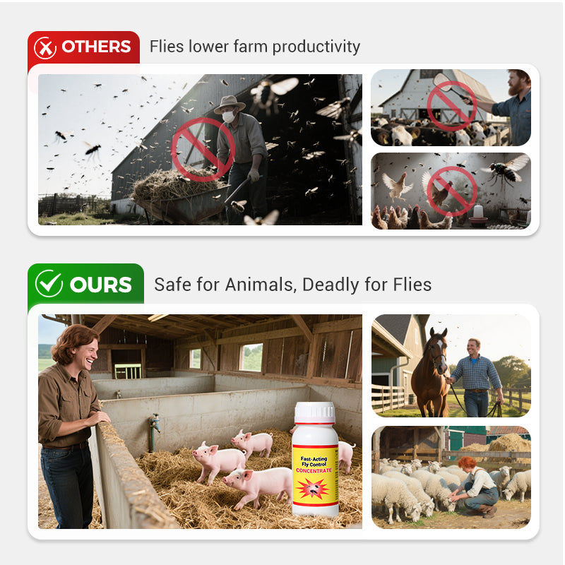 Agent Universel de Lutte contre les Mouches - Haute Efficacité & Sécurité