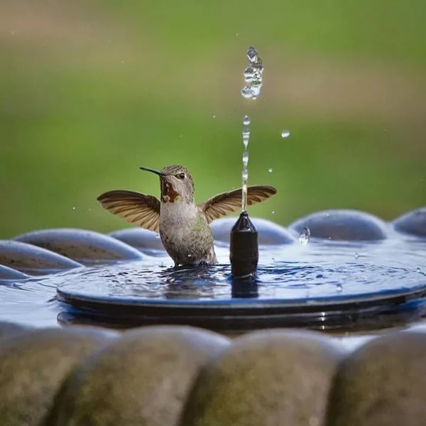 💥Fontaine d'eau à énergie solaire