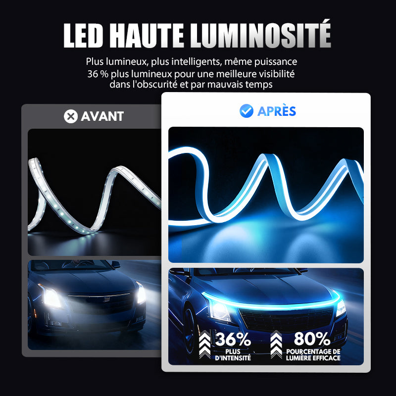 ✨ Kit Dynamic Scan Start Up HoodBeam