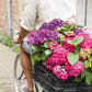 ✨Dernier jour 49% de réduction - Fleurs artificielles d'hortensia pour l'extérieur💐