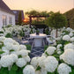 ✨Dernier jour 49% de réduction - Fleurs artificielles d'hortensia pour l'extérieur💐