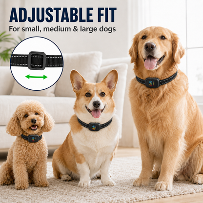 🏆 50 % DE RÉDUCTION EN CE MOMENT ! 🐶 Collier anti‑aboiement intelligent pour chiens 🛡️ Réglable, sans douleur, contrôle efficace des aboiements ⚡