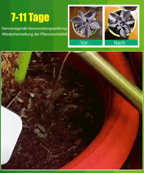 🪴🔥Achetez 3 pour 5 (8 bouteilles)🌼 Boostez Vos Plantes Et Vos Économies