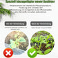 🪴🔥Achetez 3 pour 5 (8 bouteilles)🌼 Boostez Vos Plantes Et Vos Économies