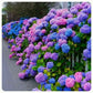 ✨Dernier jour 49% de réduction - Fleurs artificielles d'hortensia pour l'extérieur💐