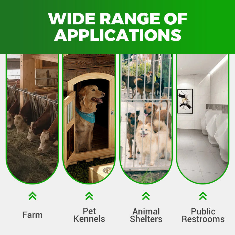 Agent Universel de Lutte contre les Mouches - Haute Efficacité & Sécurité