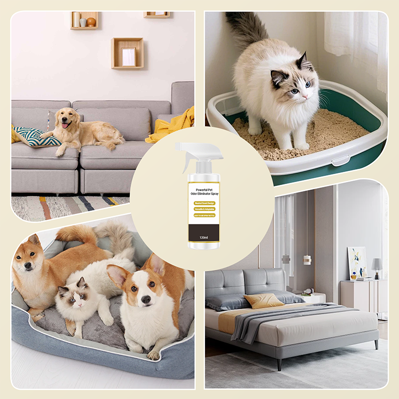 120 ml Spray déodorant puissant pour animaux domestiques🐾