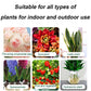🪴🔥Achetez 3 pour 5 (8 bouteilles)🌼 Boostez Vos Plantes Et Vos Économies