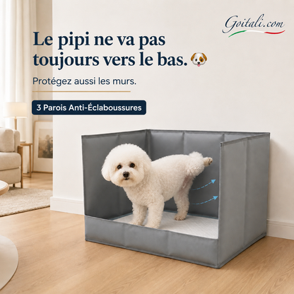 🐾 Toilette pour chiens avec 3 parois anti‑éclaboussures ✨ Protège le sol et les murs, pliable et gain de place
