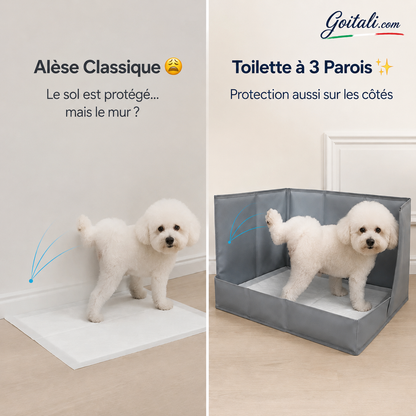 🐾 Toilette pour chiens avec 3 parois anti‑éclaboussures ✨ Protège le sol et les murs, pliable et gain de place