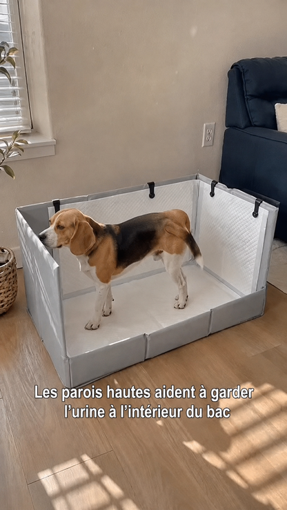 🐾 Toilette pour chiens avec 3 parois anti‑éclaboussures ✨ Protège le sol et les murs, pliable et gain de place
