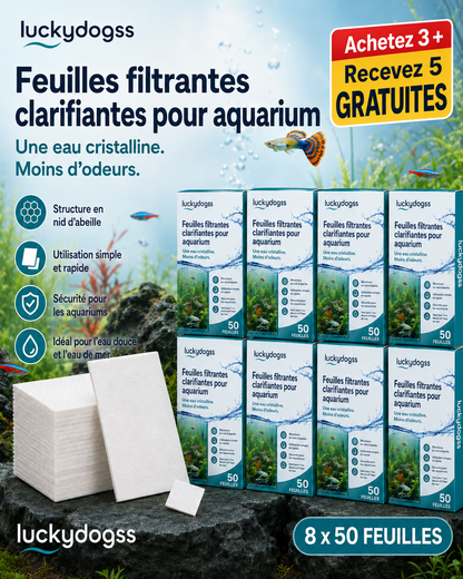 🐠 1 acheté, 1 offert ! ✨ FEUILLES CLARIFIANTES POUR AQUARIUM - Une eau cristalline en 24 heures, élimine les odeurs et les impuretés, sans danger pour tous les poissons et toutes les plantes 🌿🔮
