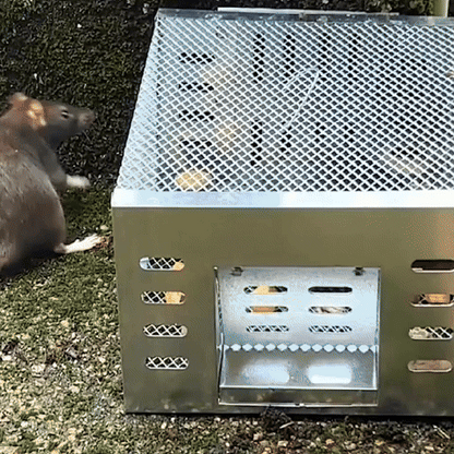 🌞Commencez le printemps en beauté avec 50 % de réduction !🐭Piège à souris réutilisable automatique avec porte à sens unique – Grande cage galvanisée pour une capture continue