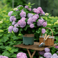 ✨Dernier jour 49% de réduction - Fleurs artificielles d'hortensia pour l'extérieur💐