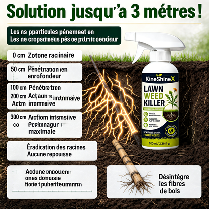 ⚡[Désherbage facile et sans stress au jardin] Désherbant pour usage domestique