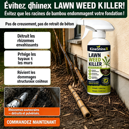 ⚡[Désherbage facile et sans stress au jardin] Désherbant pour usage domestique