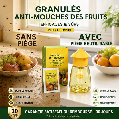 🪰✨ Piège à mouches suspendu intérieur extérieur, capture efficace sans toxique pour jardin maison et terrasse ✨