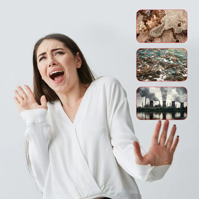 Purificateur d'eau pour robinet ménager en acier inoxydable sans installation