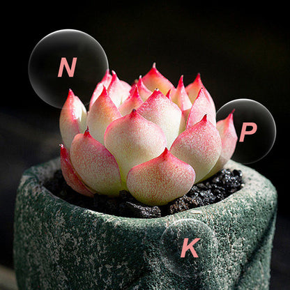 🍃Achetez-en 1 obtenez-en 1 gratuitement🌵🌸Comprimés nutritionnels universels vitalité pour la croissance des plantes