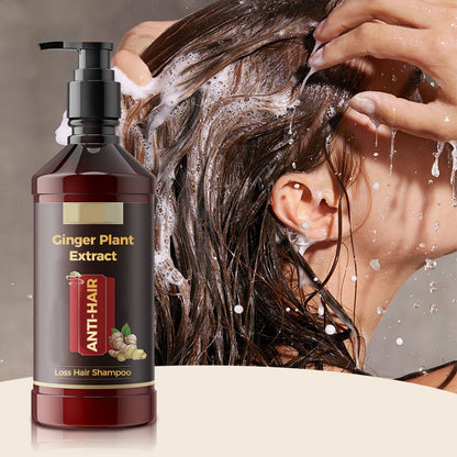 Shampoing aux Extraits Végétaux