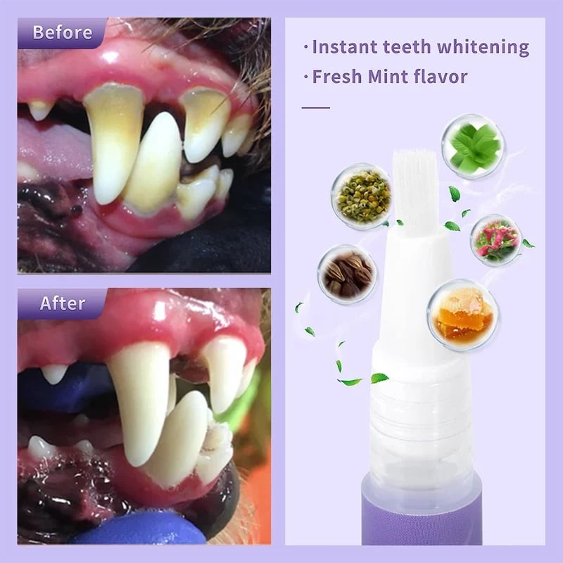 Achetez 1 et obtenez 1 gratuit🌈Gel Réparateur Oral pour Animaux de Compagnie