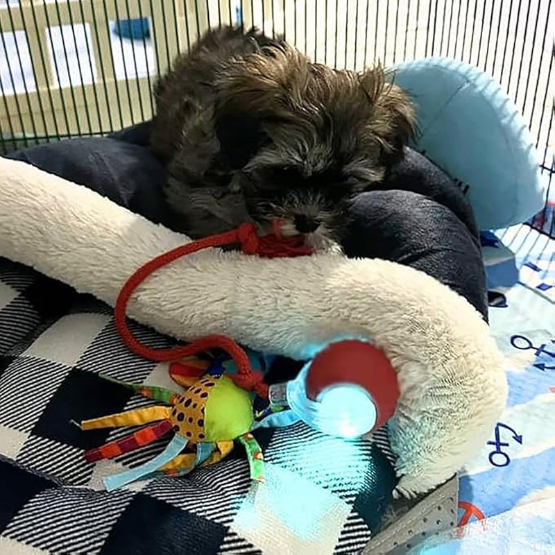 Boule Roulante Automatique Intelligente pour Animaux de Compagnie