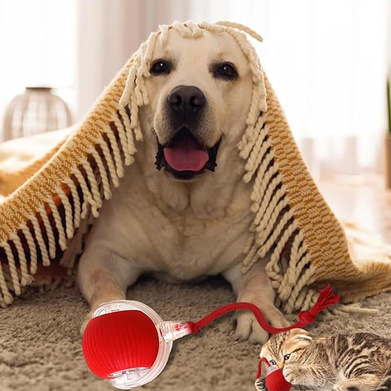 Boule Roulante Automatique Intelligente pour Animaux de Compagnie