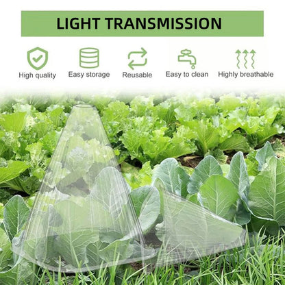 10/20/30 pièces – Cloche de jardin transparente pour plantes