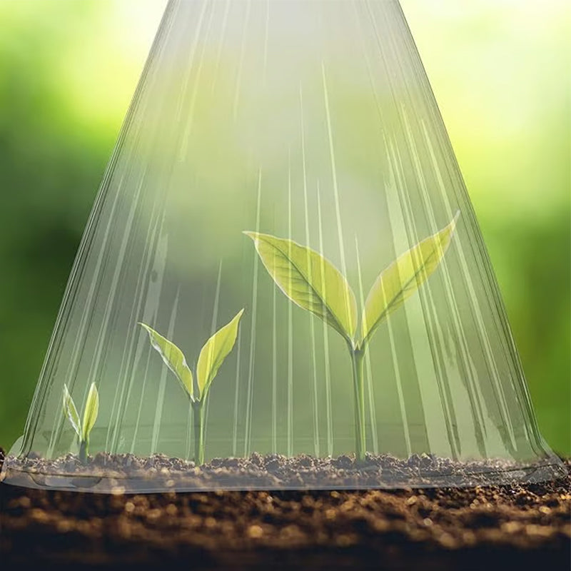 10/20/30 pièces – Cloche de jardin transparente pour plantes