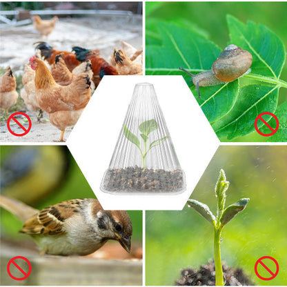 10/20/30 pièces – Cloche de jardin transparente pour plantes