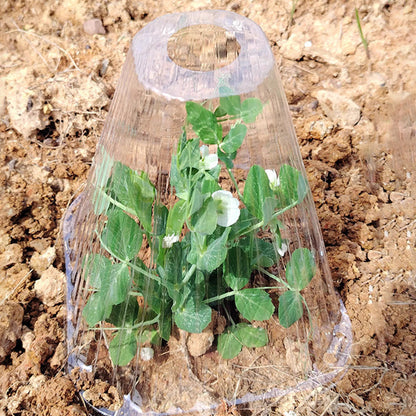 10/20/30 pièces – Cloche de jardin transparente pour plantes