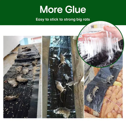 🔥Vente chaude en 2025🔥Grand piège à souris collant