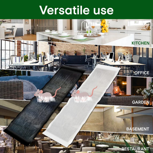 🔥Vente chaude en 2025🔥Grand piège à souris collant