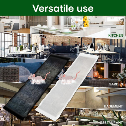 🔥Vente chaude en 2025🔥Grand piège à souris collant