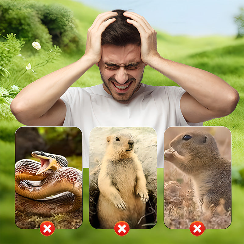 🔥Offre limitée dans le temps🔥 Répulsif à taupes à vis imperméable alimenté par énergie solaire