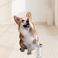 🐾 Brosse Rotative Intelligente pour Pattes d'Animaux – 🌿 Maintenant à -50 % ! 🛁✨