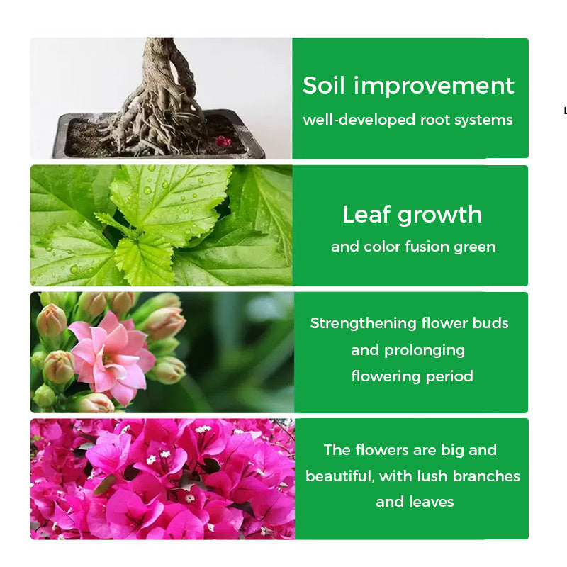 🔥Poudre de Racine et Floraison Rapide (50% DE RÉDUCTION)