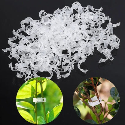 🗜️Clips pour plantes grimpantes – Attaches en plastique pour tomates et plantes grimpantes 🌱🍅
