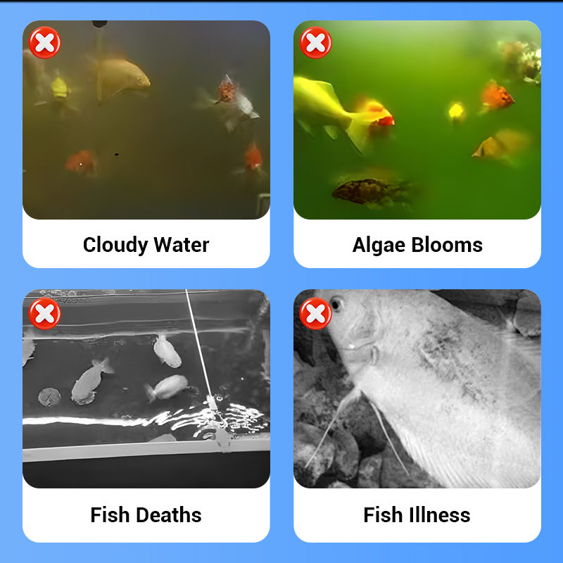 🐟💧 Promotion éclair à moitié prix ! Aquarium d'écloserie en acrylique 4 couches 🛡️ → Système de protection pour élever vos alevins en toute sécurité 🐠✨