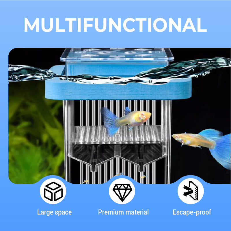 🐟💧 Promotion éclair à moitié prix ! Aquarium d'écloserie en acrylique 4 couches 🛡️ → Système de protection pour élever vos alevins en toute sécurité 🐠✨